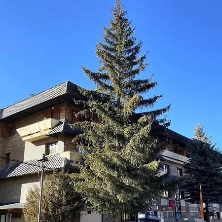 Luminoso En La Molina